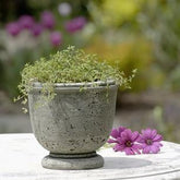 Photo of Campania Arles Planter - Marquis Gardens
